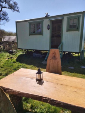 The Old Mill Shepherds Hut